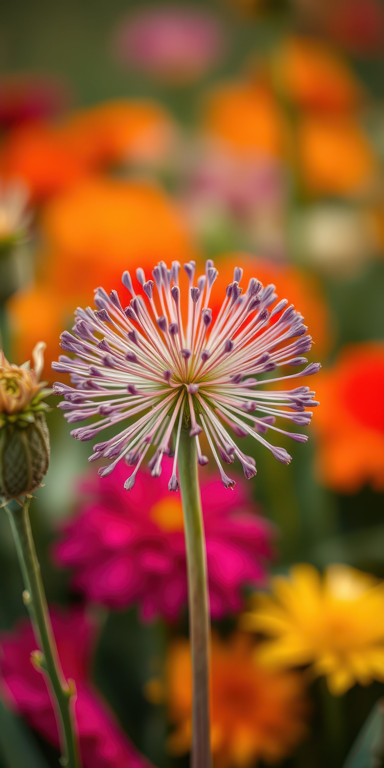 Bright and colorful flowers bloom in a lively garden during spring season